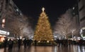 Christmas tree in Tokyo with beautiful night light