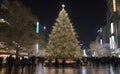 Christmas tree in Tokyo with beautiful night light