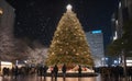 Christmas tree in Tokyo with beautiful night light