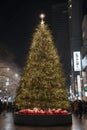 Christmas tree in Tokyo with beautiful night light