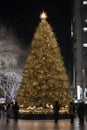 Christmas tree in Tokyo with beautiful night light