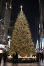 Christmas tree in Tokyo with beautiful night light