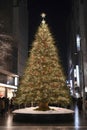 Christmas tree in Tokyo with beautiful night light