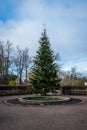 Christmas tree on town square on bright winter morning in Lund Sweden