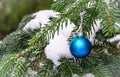 Christmas tree toy blue ball hanging under the snow on fir branch. Real winter in the garden. Nature concept for Christmas and New