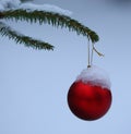 Christmas tree toy red ball hanging on a spruce branch covered with snow Royalty Free Stock Photo