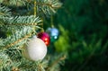 Christmas tree toy white, red and blue balls hanging on Silver blue spruce Picea pungens. Nature concept for Christmas and New Yea Royalty Free Stock Photo