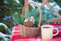Christmas-tree toys in basket with cup of coffee on wool blanket on the chair near firewood
