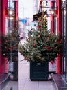 Christmas tree with toys and garlands in the city. Christmas tree with multi-colored glass balls at the entrance to a restaurant Royalty Free Stock Photo