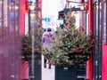 Christmas tree with toys and garlands in the city. Christmas tree with multi-colored glass balls at the entrance to a restaurant Royalty Free Stock Photo