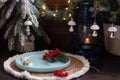 A Christmas tree with toys and a plate with red viburnum berries and orange slices.