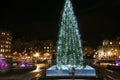 Christmas Tree in the Trafalgar Square Royalty Free Stock Photo