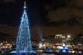 Christmas tree on Trafalgar Square, London Royalty Free Stock Photo