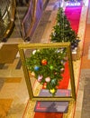 A Christmas tree turned upside down and set in a picture frame as a piece of a contemporary art