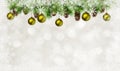 Christmas tree twigs, balls, cones and snowflakes frame Royalty Free Stock Photo