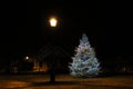 Christmas Tree under a Street Lamp