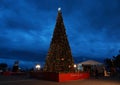 Christmas tree in Valletta, Malta Royalty Free Stock Photo