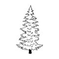 Christmas tree. Vector stock illustration eps10. Isolate on white background, outline, hand drawing. Royalty Free Stock Photo