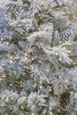 Christmas tree with white artificial snow covering