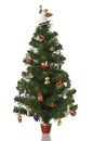 Christmas tree on white background. Royalty Free Stock Photo