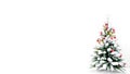 Christmas tree on white background with copy space for your xmas greetings Royalty Free Stock Photo