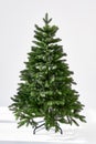 Christmas tree on a white background without decorations Royalty Free Stock Photo