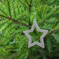 Christmas tree with white star as decor. Xmas card. Copy space. Winter. Royalty Free Stock Photo