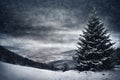 Christmas tree in a winter forest, snow covered mountains, overcast, hard and beautiful nature,dark dramatic sky Royalty Free Stock Photo