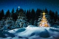 Christmas tree in winter forest and stars sky. Christmas Card. Royalty Free Stock Photo