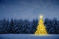 Christmas tree in winter forest and stars sky. Christmas Card. Royalty Free Stock Photo