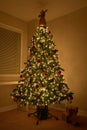 Christmas Tree Xmas