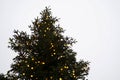 Christmas tree with yellow golden lights decorating it placed outdoors. Horizontal photo at low angle view.