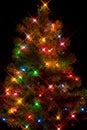 Christmas Tree1 Royalty Free Stock Photo