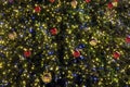 Christmas trees as new year background with many colorful christmas balls as front view close up Royalty Free Stock Photo