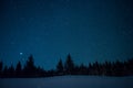 Christmas trees on the background of the starry winter sky.