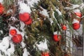 Christmas trees decorated with red balloons in front of the cafe entrance. Street Christmas decorations.