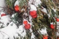 Christmas trees decorated with red balloons in front of the cafe entrance. Street Christmas decorations.