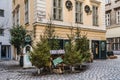 Christmas Trees with Garland Lights on Street