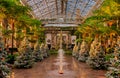 Christmas trees inside the Conservatory at Longwood Gardens, Pen