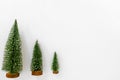 Christmas trees isolated on white background. Royalty Free Stock Photo