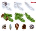 Christmas trees and pine cones. 3d realistic vector icon set Royalty Free Stock Photo