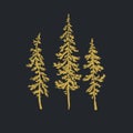 Christmas trees realistic hand drawn vector set, isolated over white Royalty Free Stock Photo