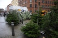 CHRISTMAS TREES SALE Royalty Free Stock Photo