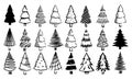 Christmas trees set in a simple style hand drawn