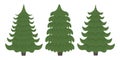 Christmas trees. A set of three Christmas trees of different shapes. Green fir trees. Three pine trees vector Royalty Free Stock Photo