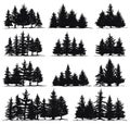 Christmas trees silhouettes. Spruce nature fir trees, coniferous forest evergreen pines isolated vector illustration set Royalty Free Stock Photo