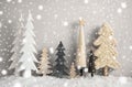 Christmas Trees, Snow, Gray Grungy Wooden Background, Star, Snwoflakes Royalty Free Stock Photo