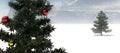 Christmas trees in snowfield Royalty Free Stock Photo