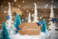 Christmas Trees, Snowflakes, Wooden Background, Label, Bienvenue Means Welcome
