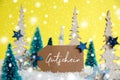 Christmas Trees, Snowflakes, Yellow Background, Label, Gutschein Means Voucher Royalty Free Stock Photo